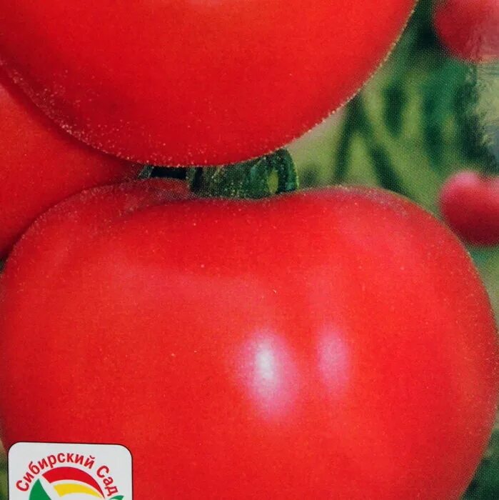 Помидоры малинка фото Купить томат калинка малинка по цене 19 руб. в интернет магазине "Первые Семена"