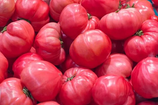 Помидоры малиновый фото Pink Tomato Images - Browse 44,805 Stock Photos, Vectors, and Video Adobe Stock