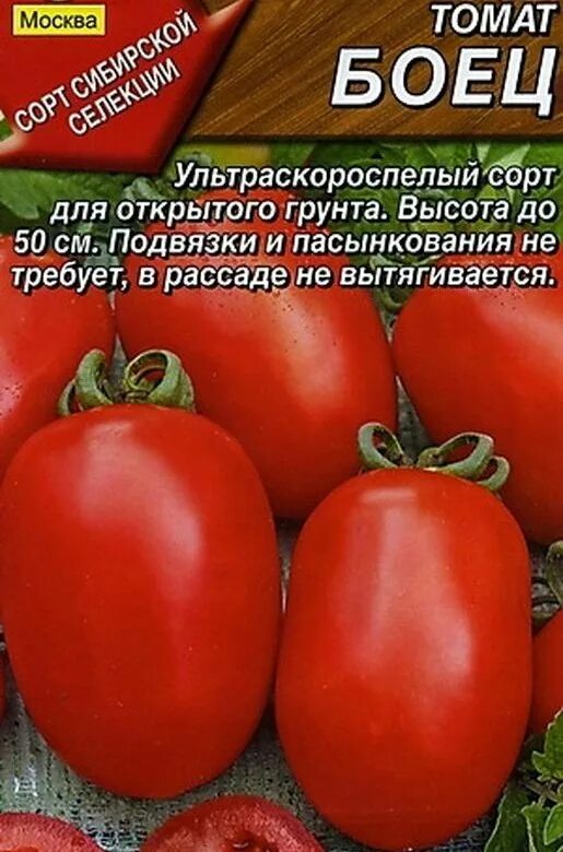 Помидоры мамонтенок описание фото отзывы Рассада томатов - купить в Томске, цена 20 руб., продано 21 мая 2020 - Растения 