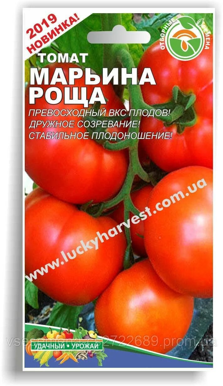 Помидоры марьина роща описание сорта фото Томат Марьина роща: описание и характеристика сорта, урожайность с фото