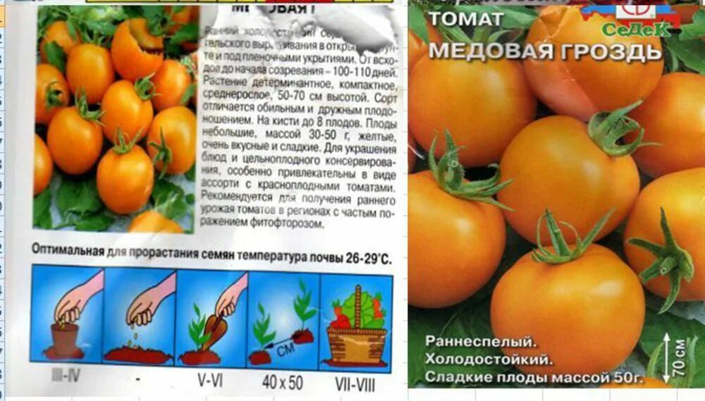 Помидоры медовый описание сорта фото отзывы Томат Медовая конфетка: характеристика и описание сорта с фото