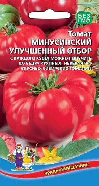 Помидоры минусинские фото отзывы Томаты Уральский дачник Огурец Герман F1 УД_малиновый - купить по выгодным ценам