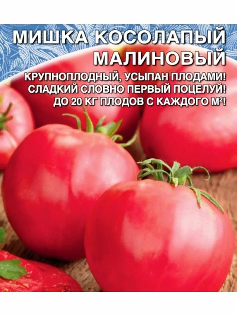 Помидоры мишка косолапый описание сорта фото Семена Томат Мишка Косолапый малиновый Уральский Дачник 155129744 купить за 136 