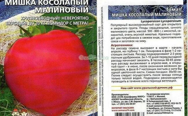 Помидоры мишка косолапый описание сорта фото Томат Хоровод: характеристика и описание индетерминантного сорта с фото