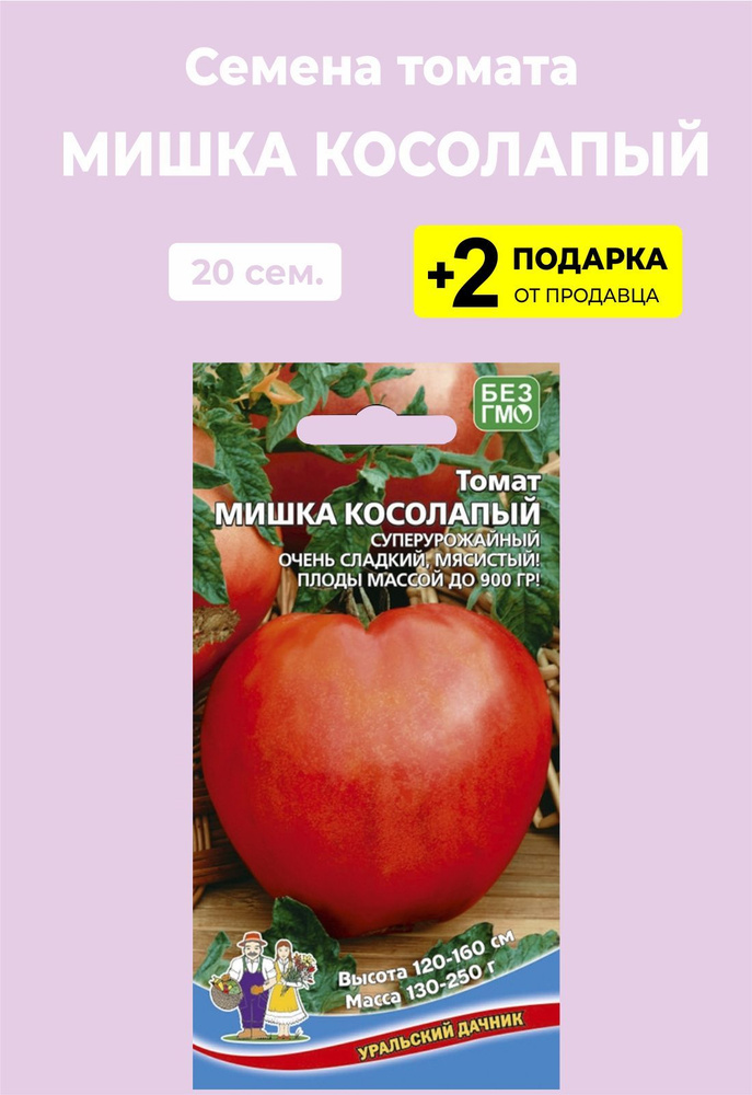 Помидоры мишка косолапый описание сорта фото Помидоры мишка косолапый описание сорта фото отзывы фото