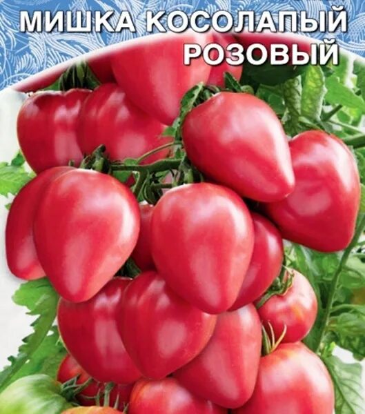 Помидоры мишка косолапый описание сорта фото Томаты Уральский дачник Тор31681 - купить по выгодным ценам в интернет-магазине 