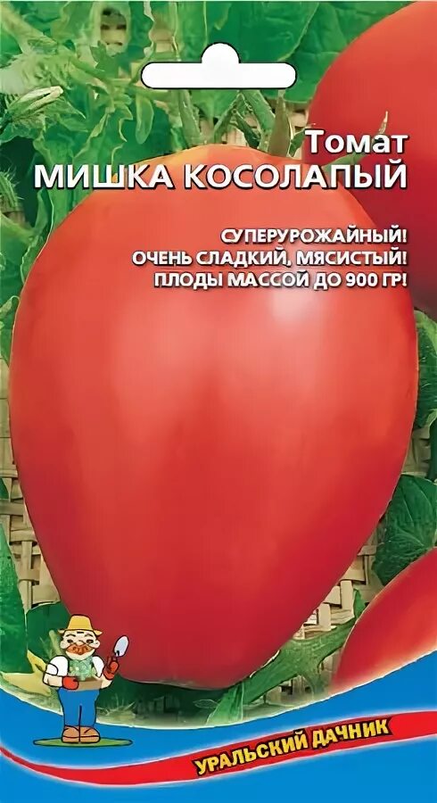 Помидоры мишка косолапый отзывы фото Томат мишка косолапый характеристика и описание отзывы: найдено 78 изображений