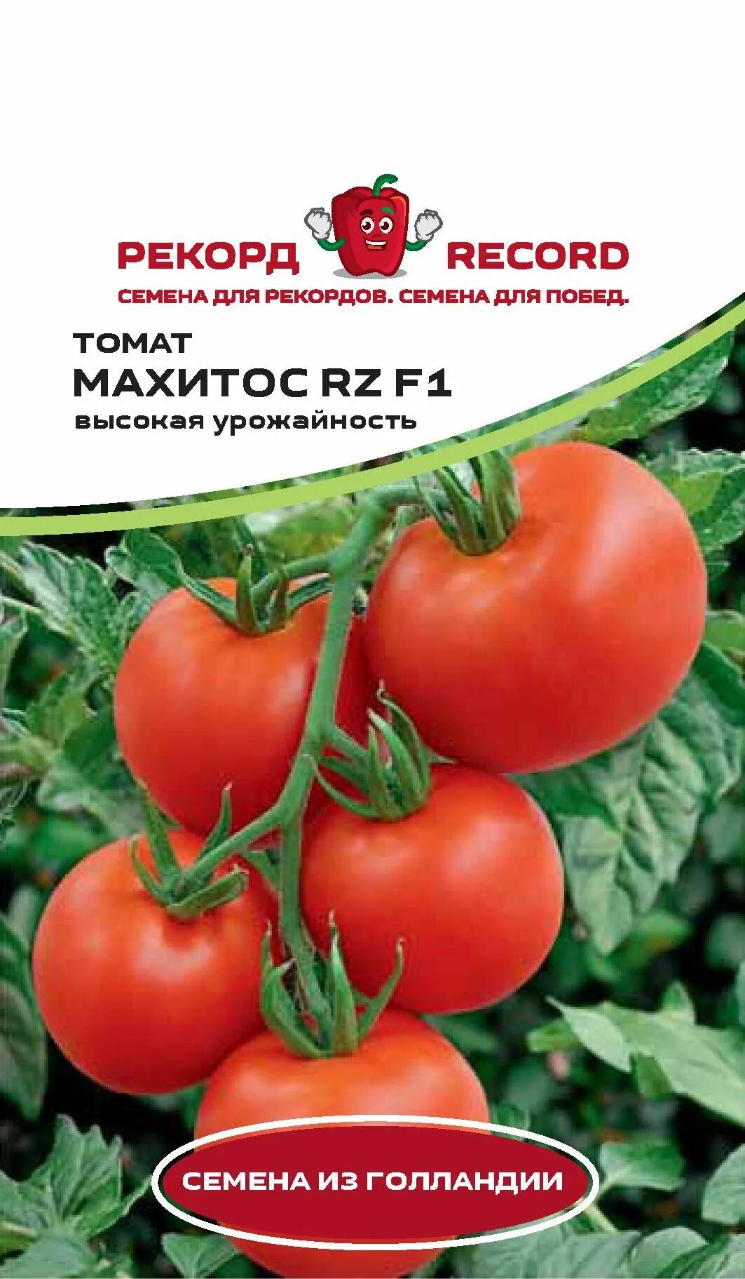Помидоры мохито описание сорта фото отзывы Купить Томат "Рекорд" Махитос F1 3 сем в Онсад.ру с доставкой Почтой