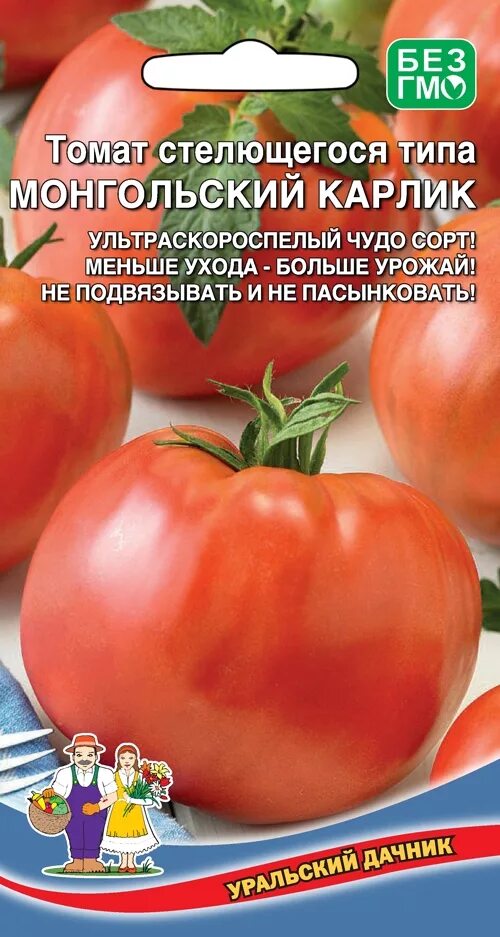 Помидоры монгол фото Томат Монгольский Карлик 20шт/10