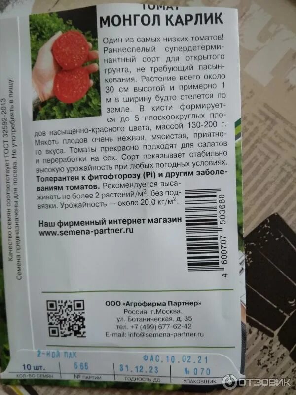 Помидоры монгол карлик отзывы фото Отзыв о Семена томата Агрофирма Партнер "Монгол Карлик" Именно про семена