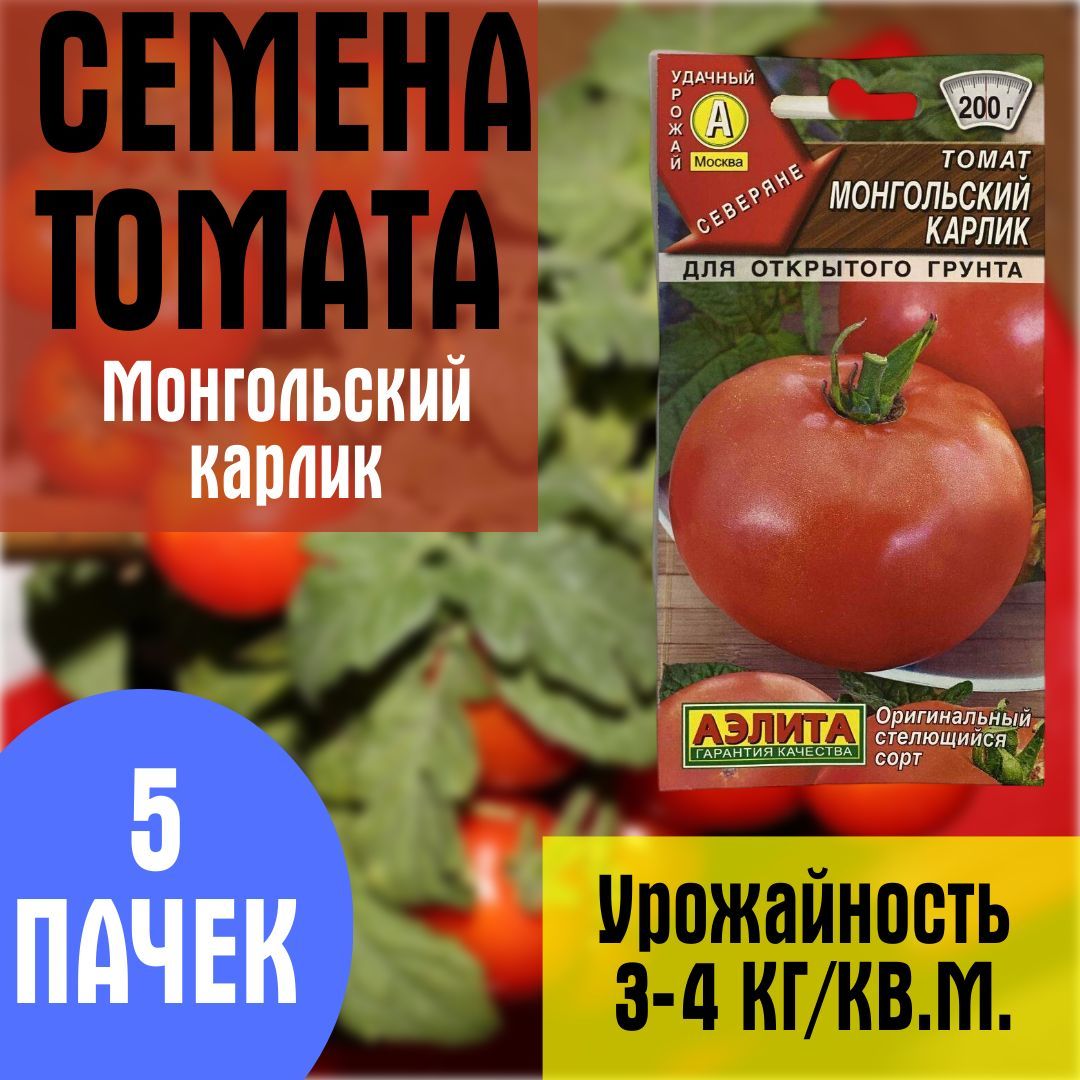 Помидоры монгол описание сорта фото отзывы Помидоры монгольский карлик описание и отзывы