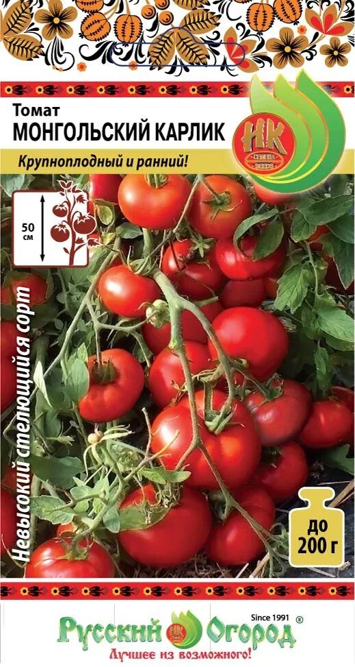 Помидоры монгольский карлик фото и описание Семена Томат Монгольский карлик: описание сорта, фото - купить с доставкой или п