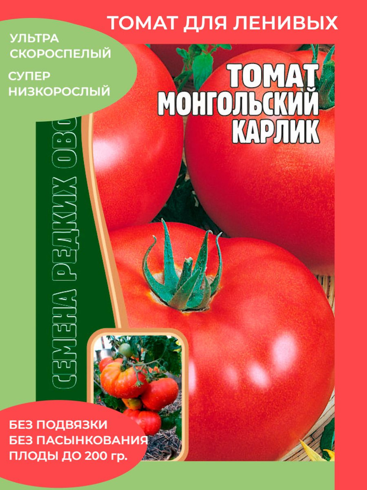 Помидоры монгольский карлик описание сорта фото Томаты ЕЛЕСАД монгол01 - купить по выгодным ценам в интернет-магазине OZON (8420