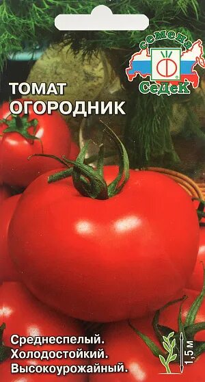 Помидоры огородник описание сорта фото отзывы Купить Семена Томат Огородник от Седек, 3127