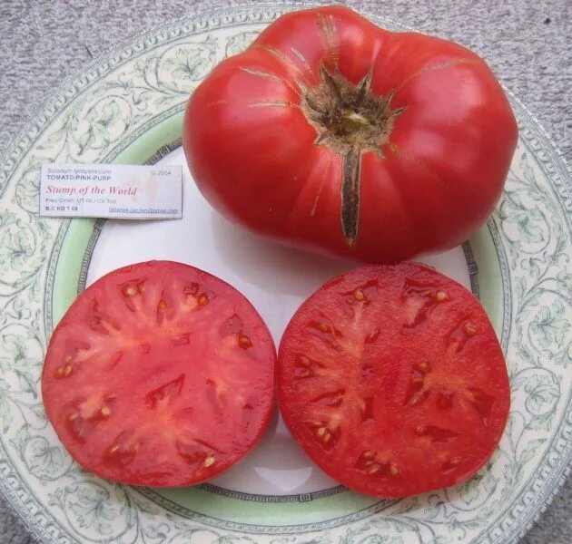 Помидоры пень фото Stump of the World tomato - I love this tomato!! Simply delicious! Tomato, Best 