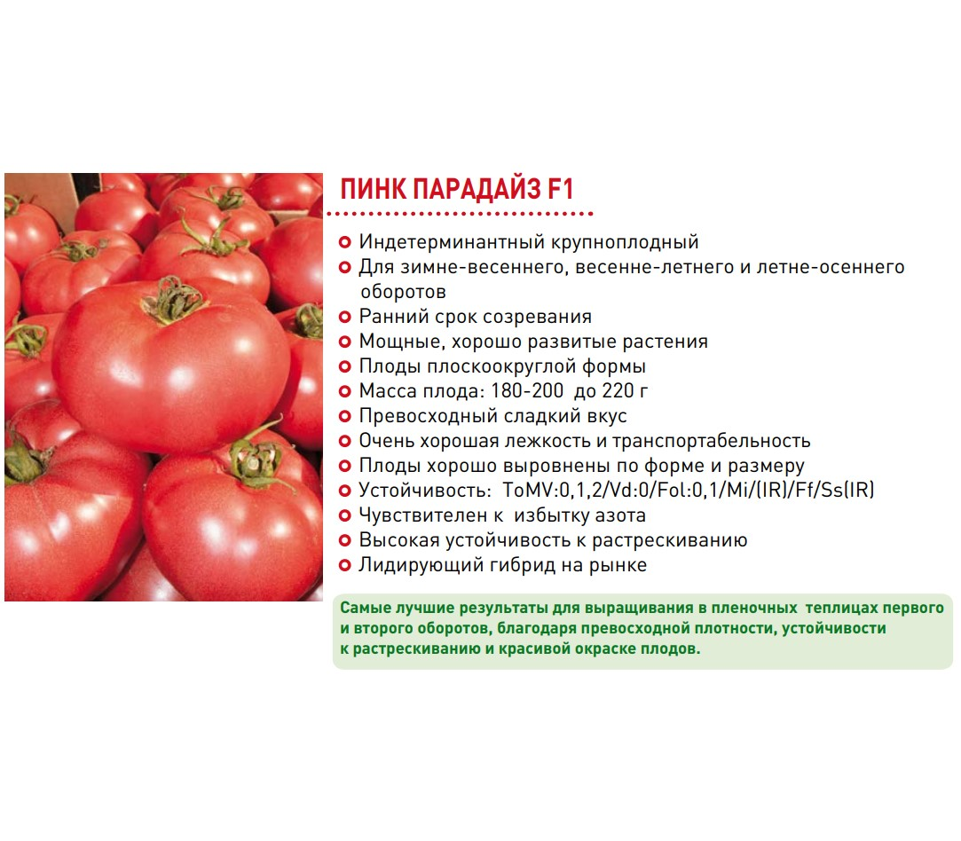 Помидоры пинк описание сорта фото отзывы Пинк Парадайз F1 - семена томатов, 10 и 500 семян, Sakata seeds/Саката сидз (Япо