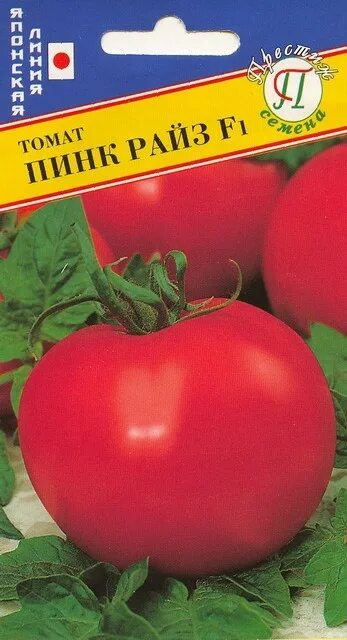 Помидоры пинк отзывы фото Купить Томат Пинк Райз F1 5 шт. за 56 руб. почтой "Сад-Эксперт" - Семена томата,
