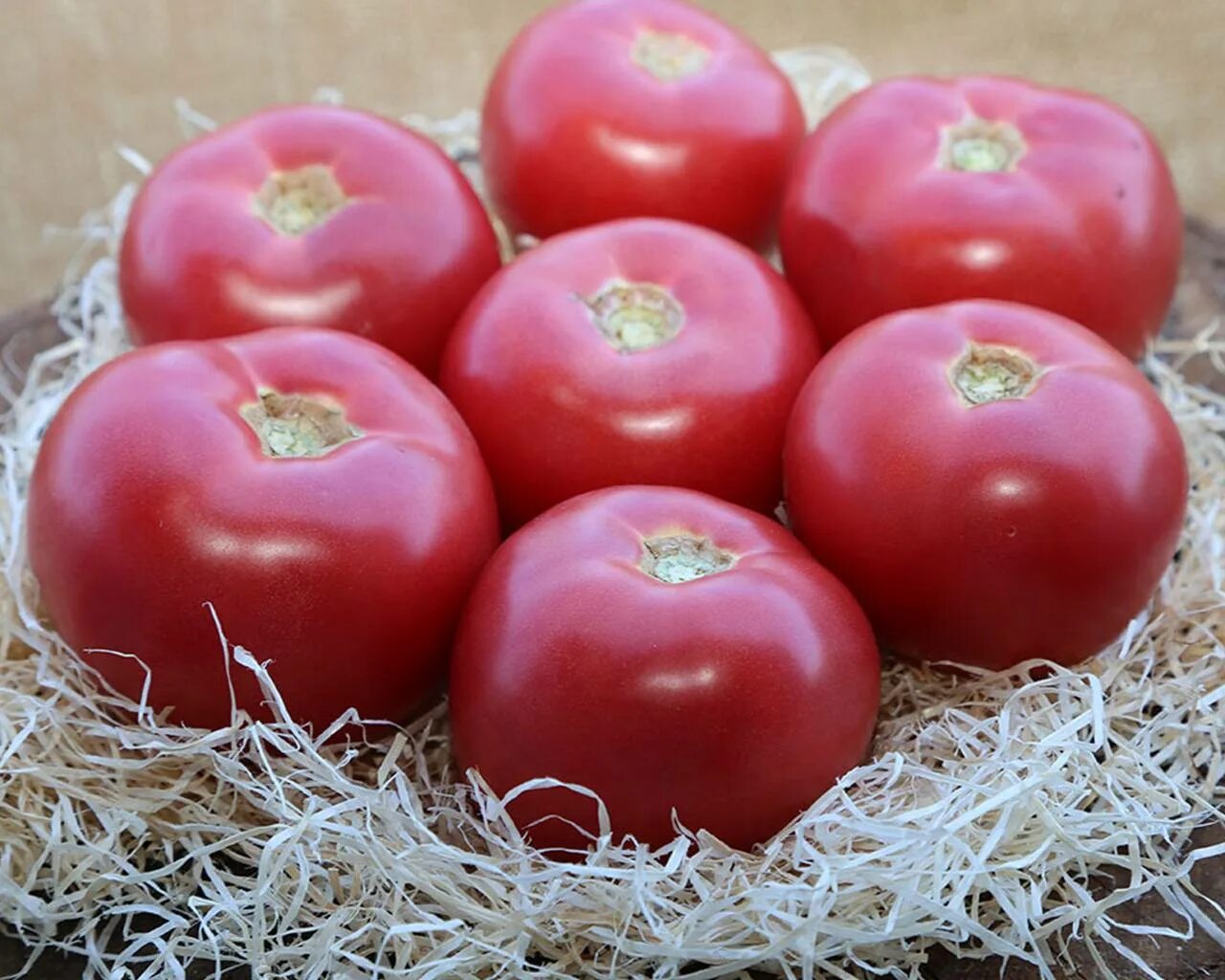 Помидоры пинк парадайз отзывы фото Томат ПИНК ПАРАДАЙЗ F1 Sakata, 500 шт * ТК "Атлас" г.Туймазы