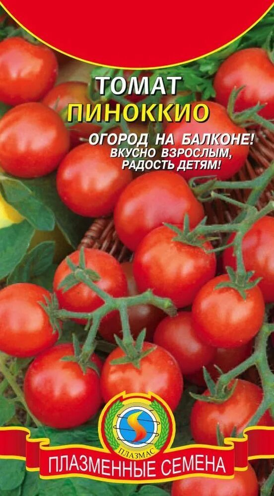 Помидоры пиноккио фото Томаты Плазменные семена Томат Пиноккио ПС - купить по выгодным ценам в интернет