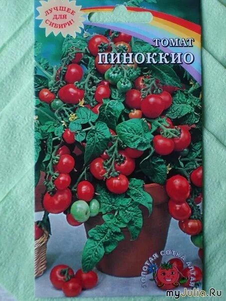 Помидоры пиноккио описание сорта фото Продам рассаду помидор черри 30р, перец 25р. В.. 2024 Купить, продать г. Касимов