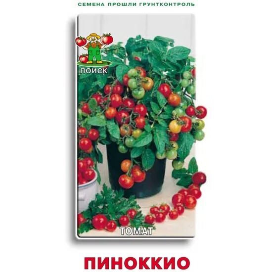 Помидоры пиноккио описание сорта фото Семена ПОИСК Томат Пиноккио (ЦВ) 12шт. 00000510694 - купить по низкой цене в инт