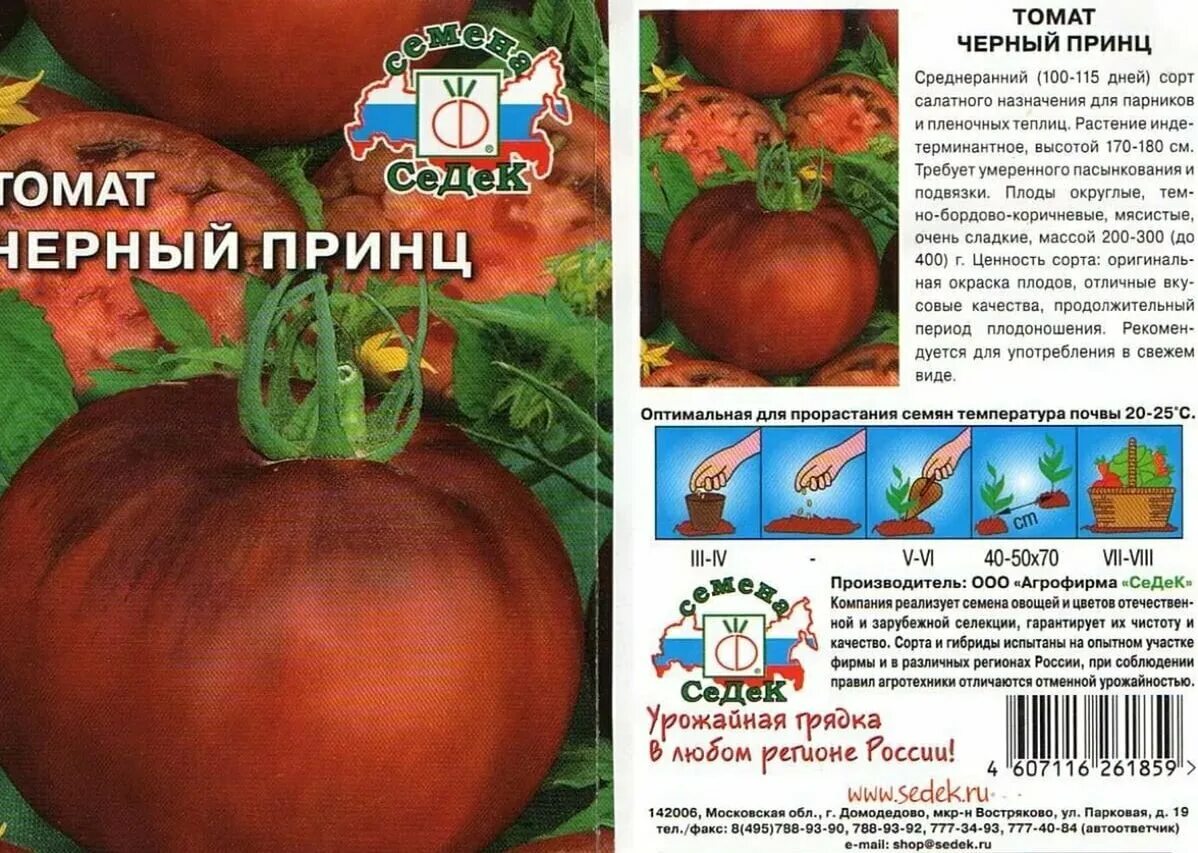 Помидоры принц описание сорта фото отзывы Помидоры черный принц описание сорта фото отзывы садоводов Фитостудия-63.ру