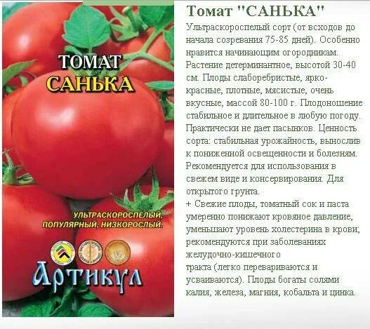 Помидоры санька описание сорта фото отзывы Томат Санька: описание сорта, характеристика