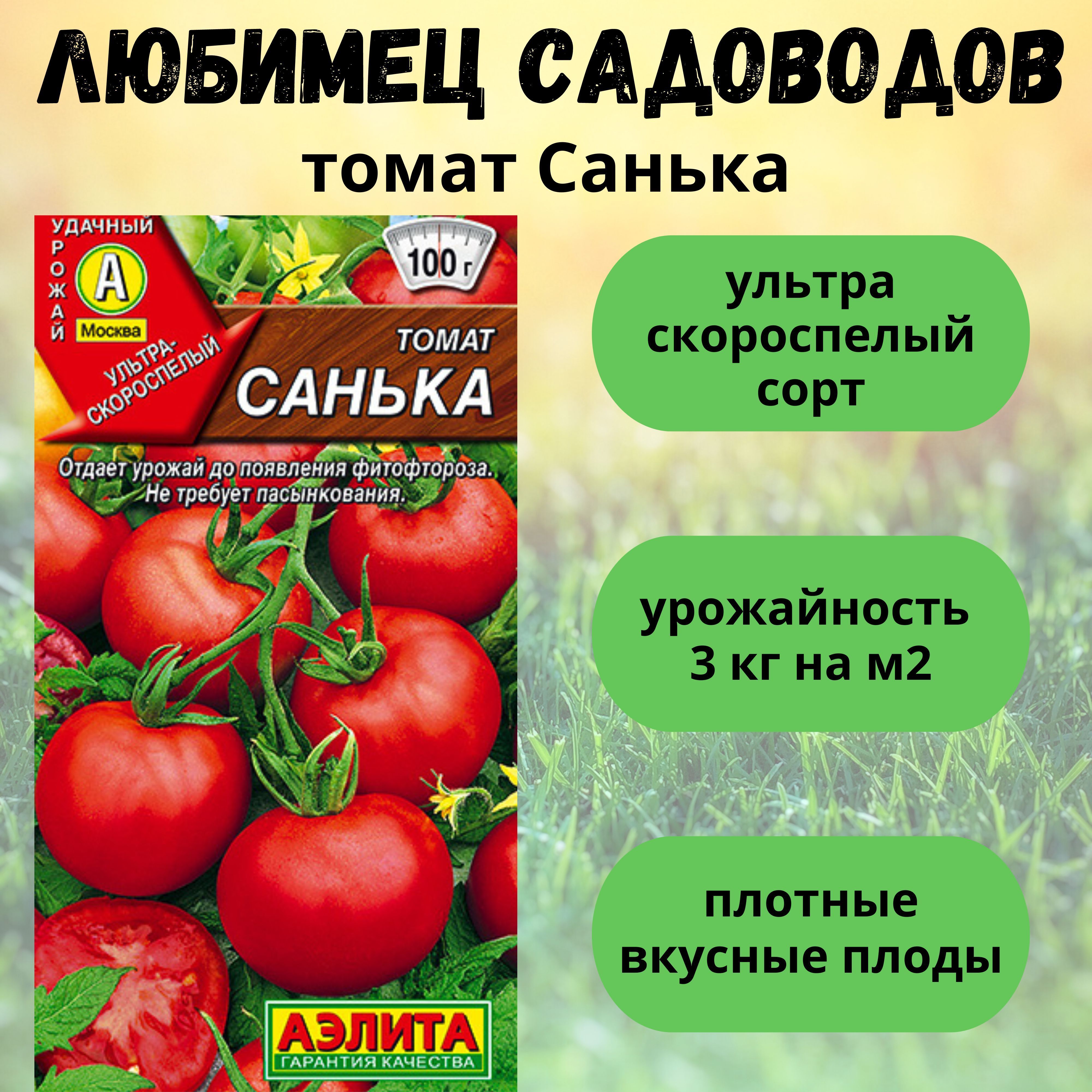 Помидоры санька описание сорта фото отзывы садоводов Томаты Аэлита Набор Огурец Бабушкин секрет и Огурец Всегда удачные_1_Томат Вишне