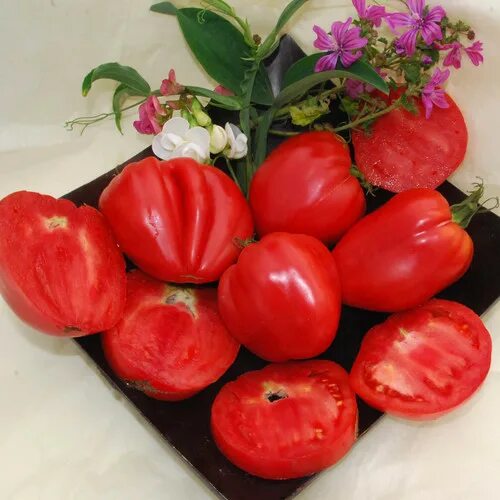 Помидоры сердце ангела фото Tomato Hungarian Heart Seeds (15 seeds) (TOMATO) - Plant World Seeds