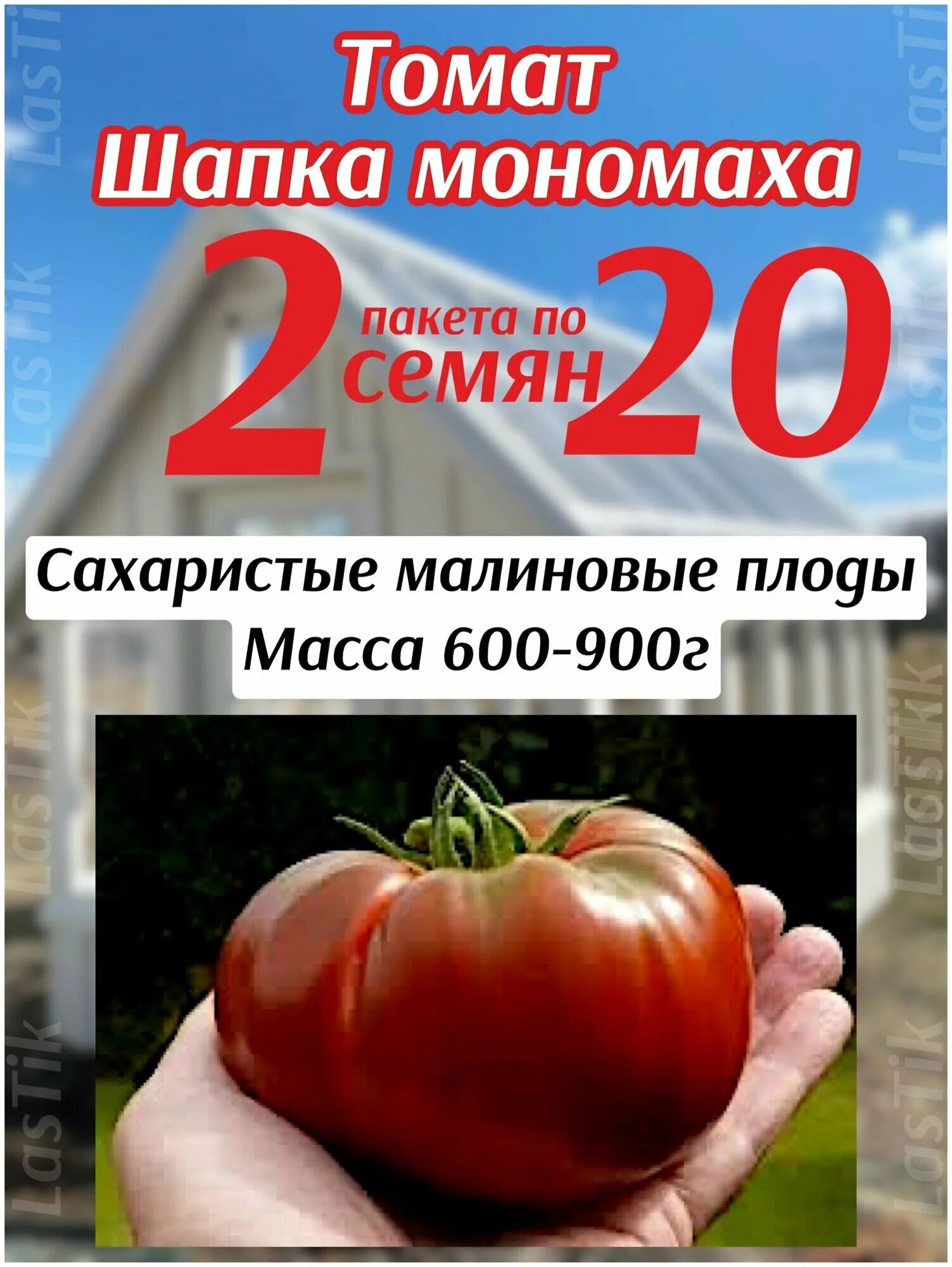 Помидоры шапка мономаха отзывы фото Томат Сибирский карлик 2 пакета по 20шт семян - купить в интернет-магазине по ни