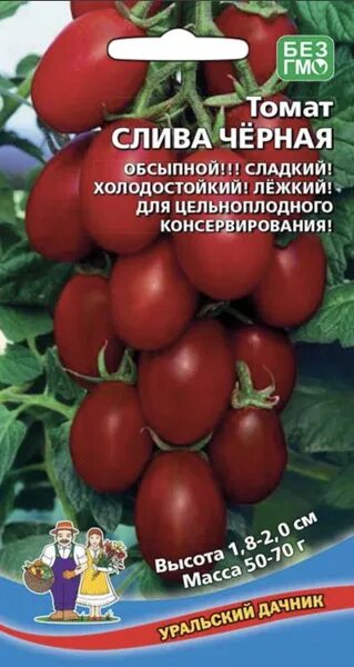 Помидоры слива фото Томаты Уральский дачник Томат - купить по выгодным ценам в интернет-магазине OZO