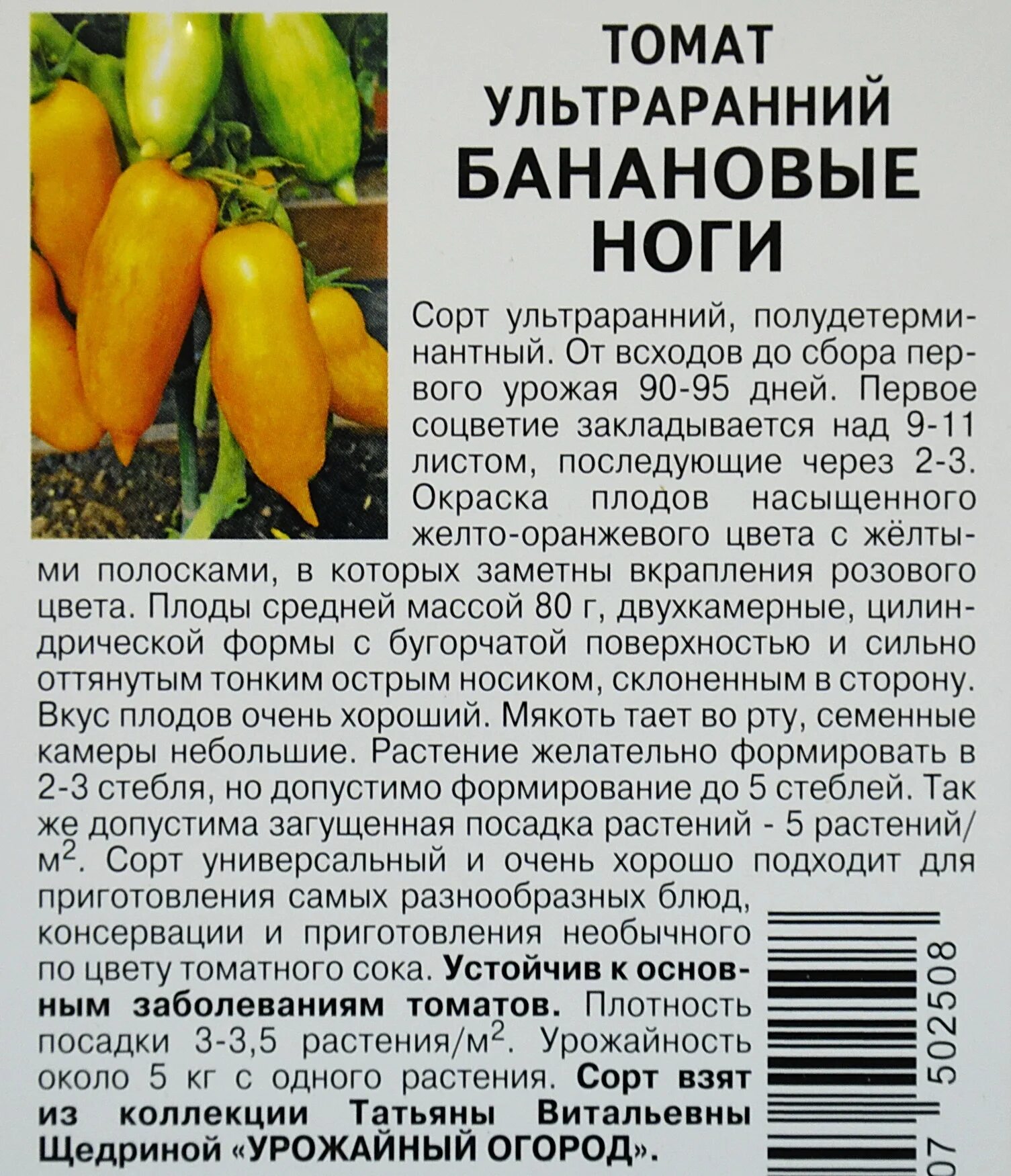 Помидоры сорт банановые ноги фото отзывы Сорт томата банановые ноги отзывы