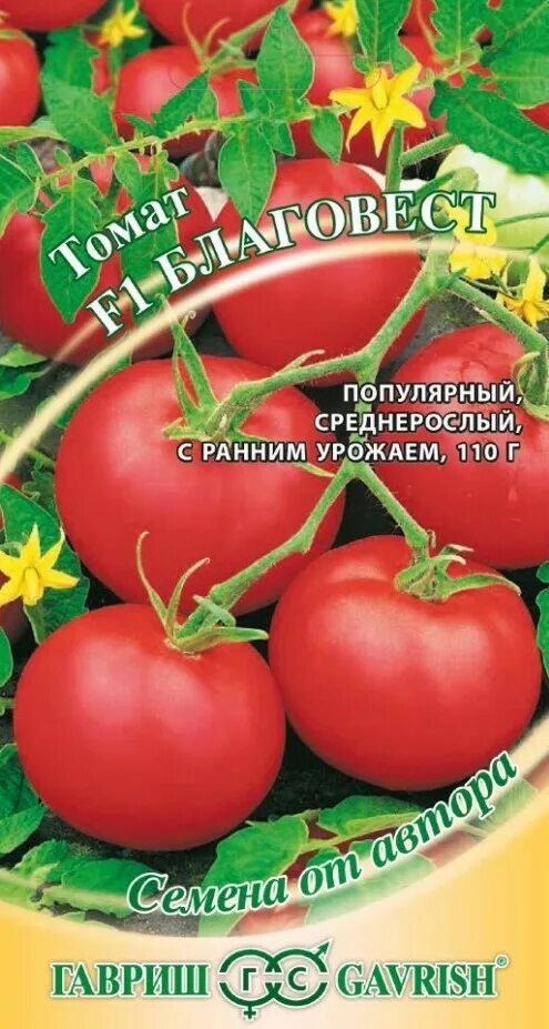 Помидоры сорт благовест фото Семена томата ГАВРИШ Благовест F1 12 шт - цена в Орске, купить в интернет-магази
