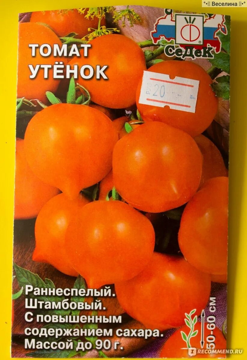 Помидоры сорт утенок отзывы фото Семена Томат "Утёнок" "Седек" - "Смешные утята на вашей грядке порадуют детей. Б