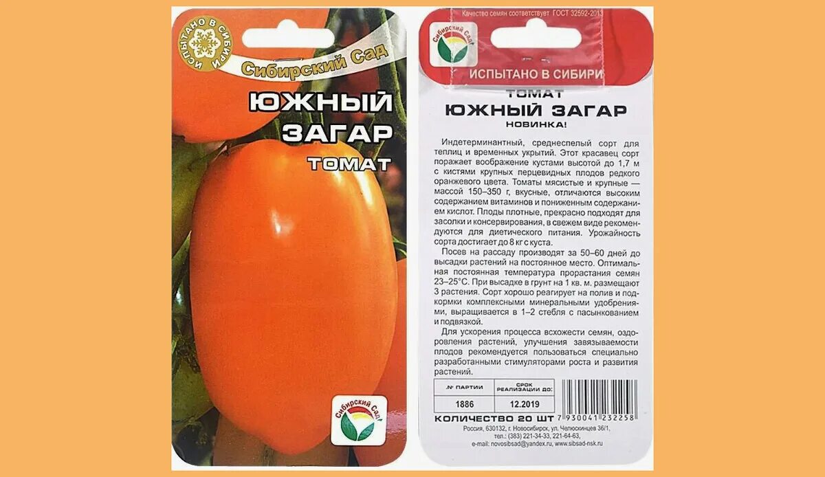 Помидоры сорт южный загар фото отзывы 10 вкусных, урожайных, крупноплодных оранжевых и желтых томатов для теплицы Сад,