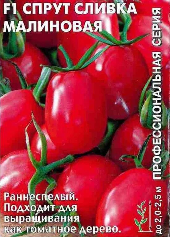 Помидоры спрут описание сорта фото отзывы садоводов Семена Томат Спрут сливка малиновая F1: описание сорта, фото - купить с доставко