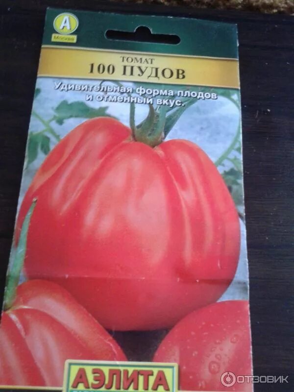 Помидоры сто пудов описание сорта фото отзывы Отзыв о Семена томата Аэлита "100 пудов" очень хорошие семена из которых выроста