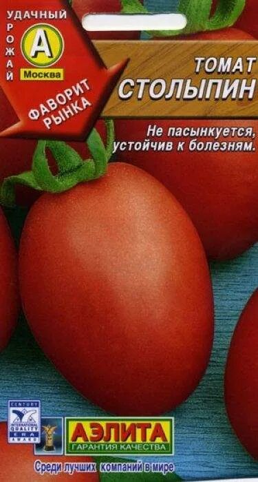 Помидоры столыпин отзывы фото Купить семена Томат Столыпин (Аэлита) 0,1гр с доставкой курьером и почтой в инте