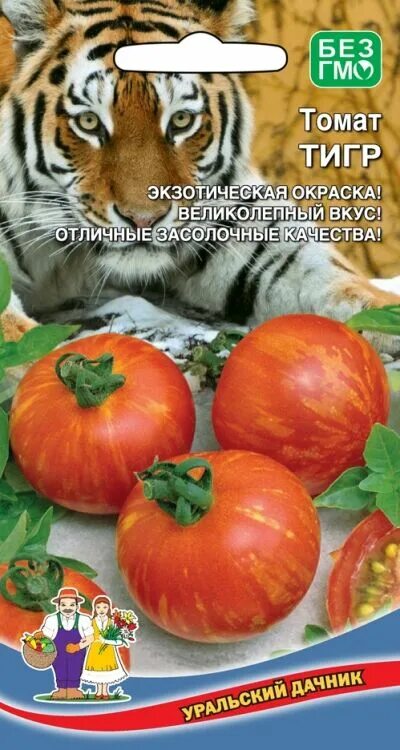 Помидоры тигр описание сорта фото отзывы Уральский дачник / Томат Тигр (УД) (Средний, индет, оригинальная окраска плода) 