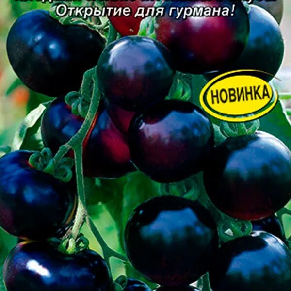 Помидоры уголек описание сорта фото Томат Уголек ®, 0,2 г, купить в интернет магазине Semenapost.ru