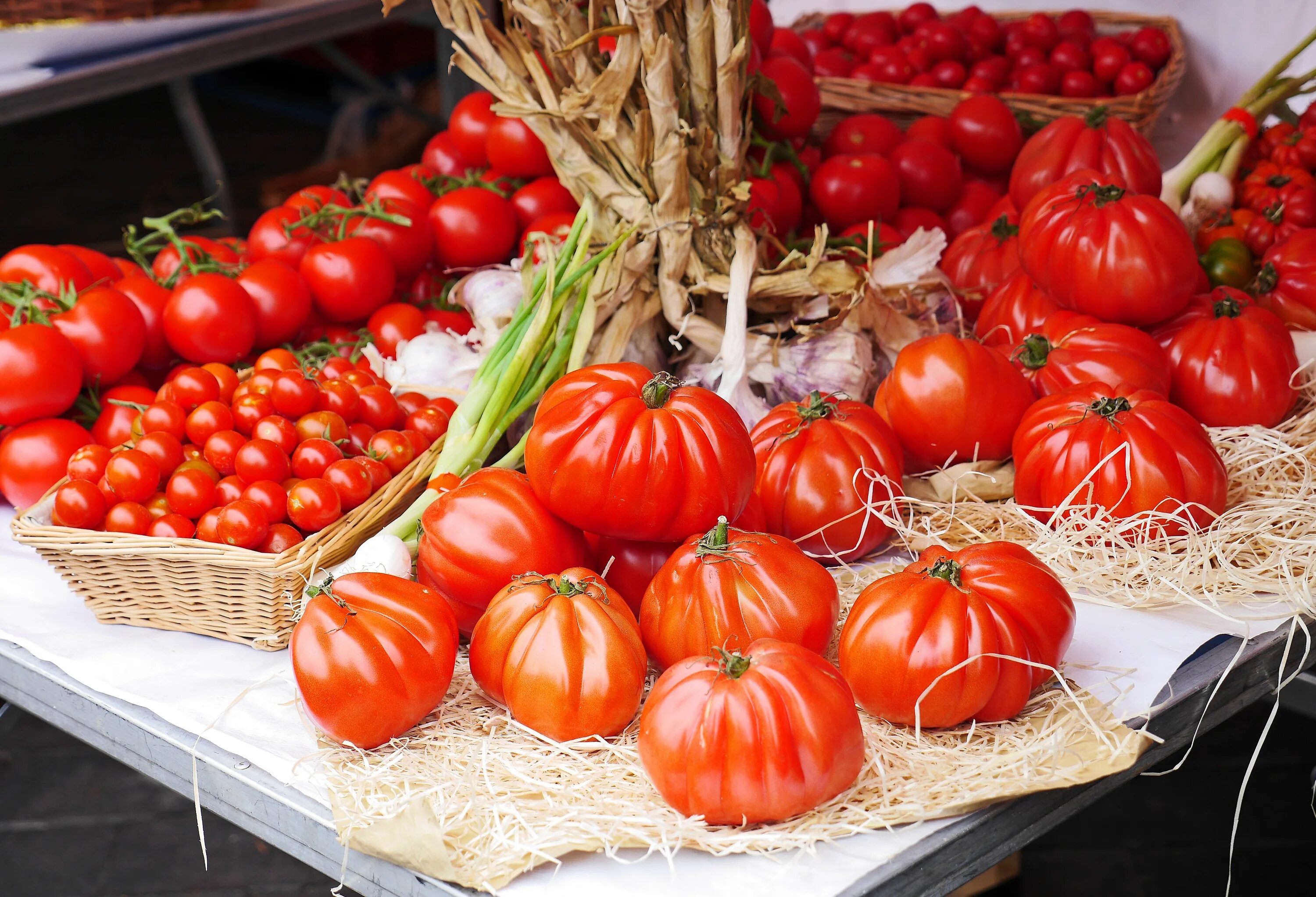 Помидоры урожай фото Free Images : fruit, food, mediterranean, red, produce, vegetable, gourmet, heal