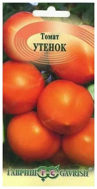 Помидоры утенок описание сорта фото Томат всепогодный утенок - купить по низкой цене на Яндекс Маркете - страница 5