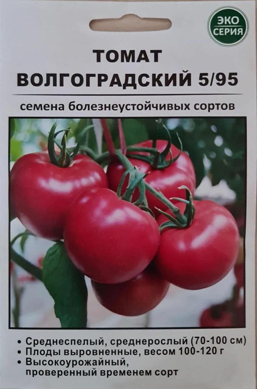 Помидоры волгоградские описание фото отзывы Томаты томат волгоградский 5/95 - купить по выгодным ценам в интернет-магазине O