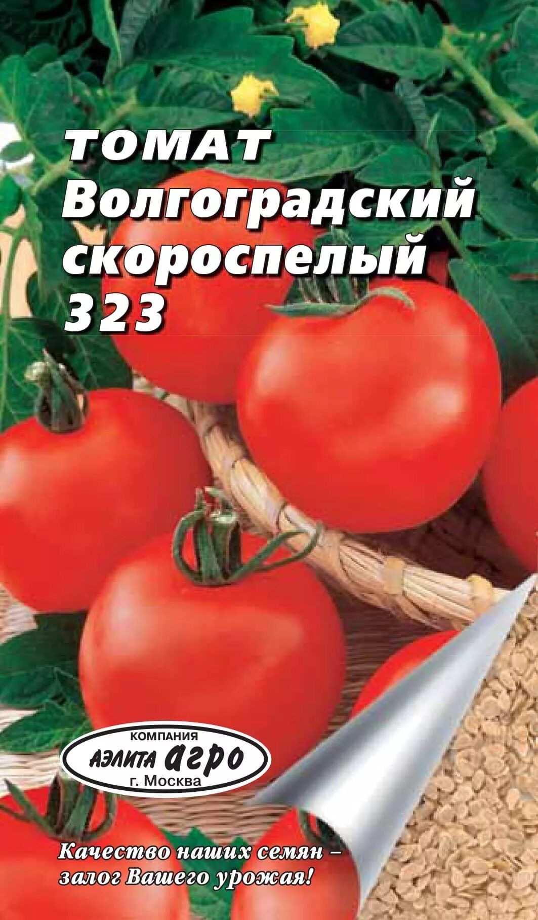 Помидоры волгоградские описание фото отзывы Томаты волгоградские фото: найдено 82 картинок