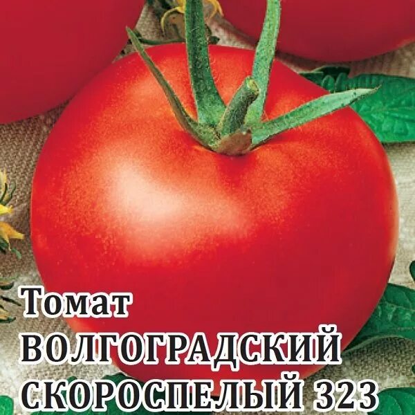 Помидоры волгоградский скороспелый описание сорта фото ✔ Семена Томат Волгоградский скороспелый 323, 5г, Гавриш, Фермерское подворье по