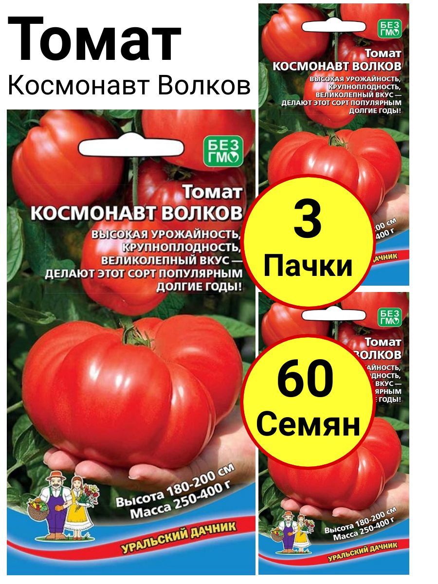 Помидоры волков описание сорта фото отзывы Томаты Уральский дачник Томат Космонавт Волков_105728-3 - купить по выгодным цен