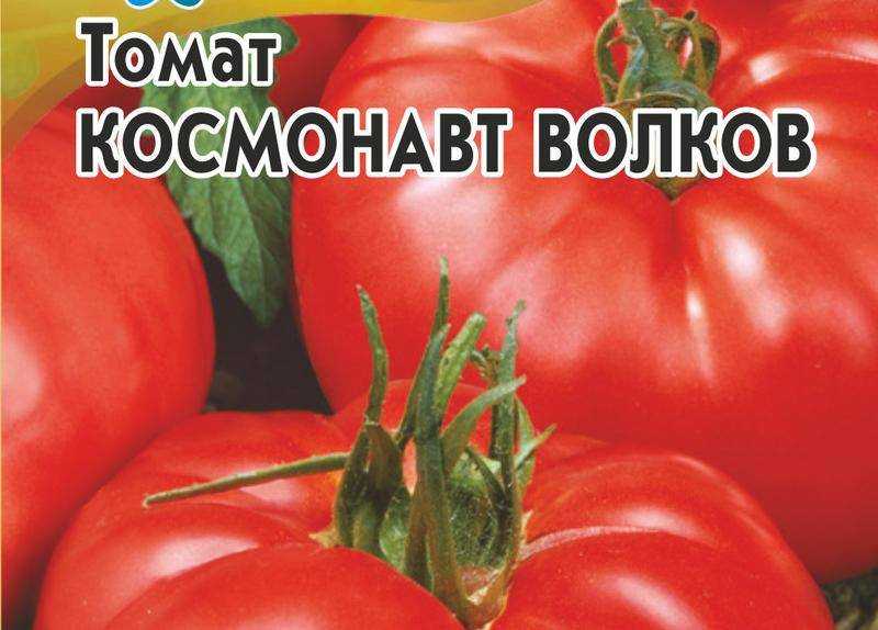 Помидоры волков описание сорта фото отзывы Наследие космоса: Семена томата Космонавт Волков Планета земля Фотогалерея приро