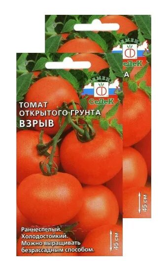 Помидоры взрыв фото и описание Характеристики Семена Томат Взрыв 0,1 г (СеДек) , 2 пакетика * 0,1 г, подробное 