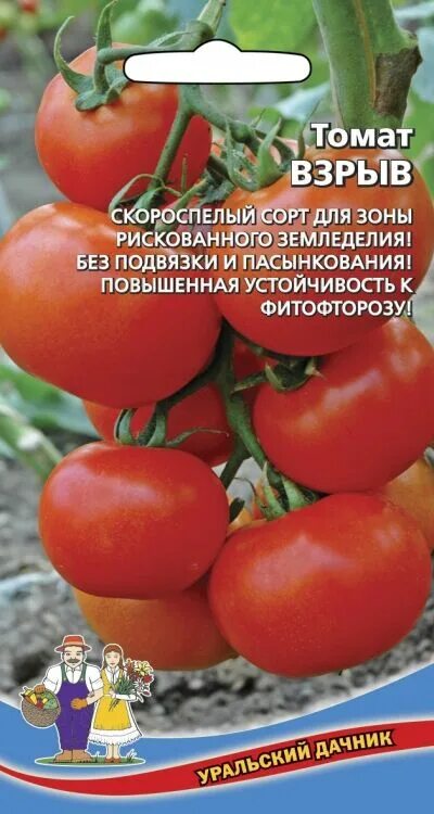 Помидоры взрыв фото и описание Агрофирма МАРС / Томат Взрыв (Марс) (до 250 г, для зон рискованного земледелия. 