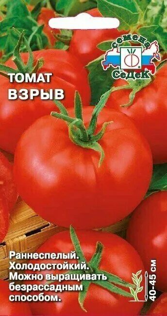 Помидоры взрыв фото и описание Томат взрыв - купить по низкой цене на Яндекс Маркете